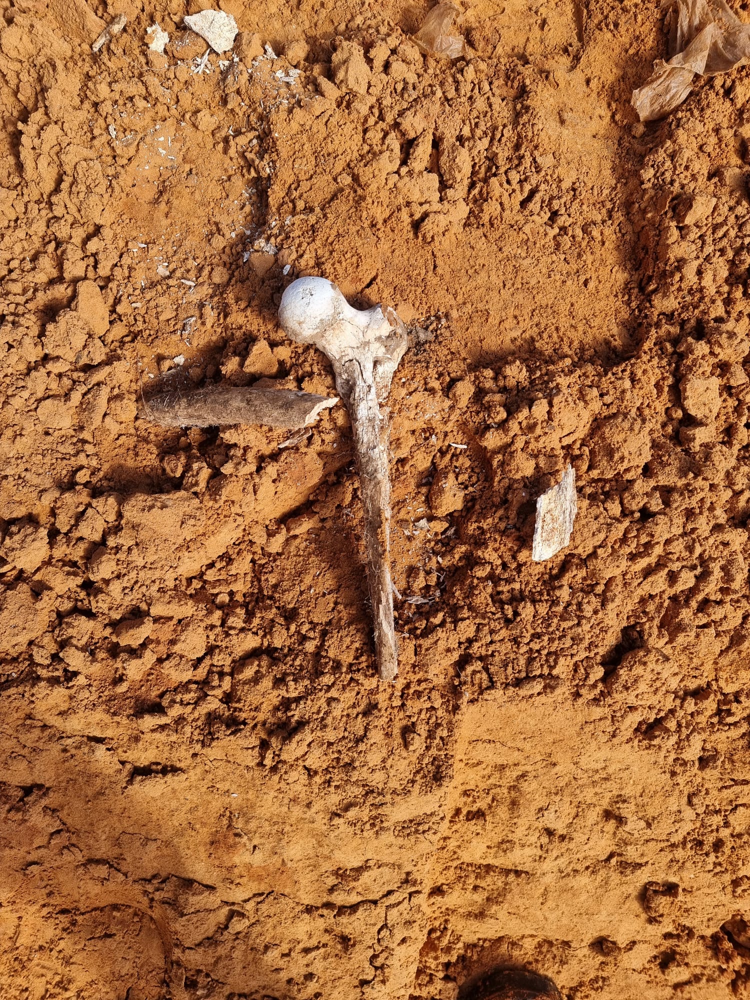 WhatsApp Image 2022-12-01 at 11.27.01 AM (1).jpeg